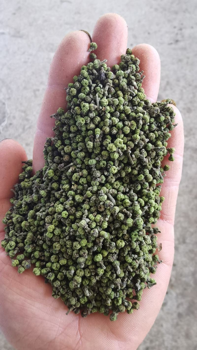 产地吴茱萸大量产新(批发零售)产地实力商家
