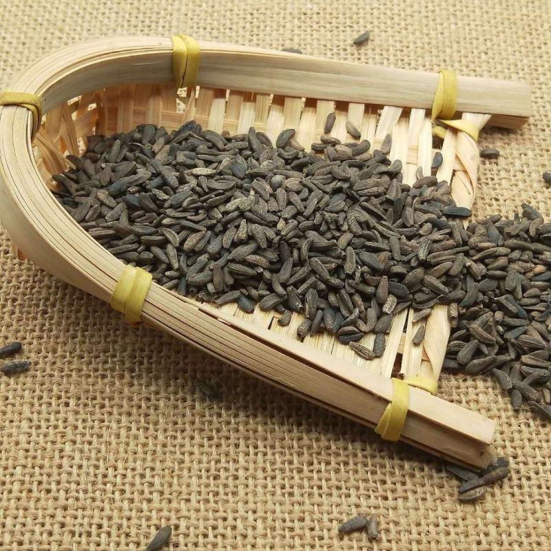【新品】牛蒡子大量批发大力子简过风货人工筛选干净无杂
