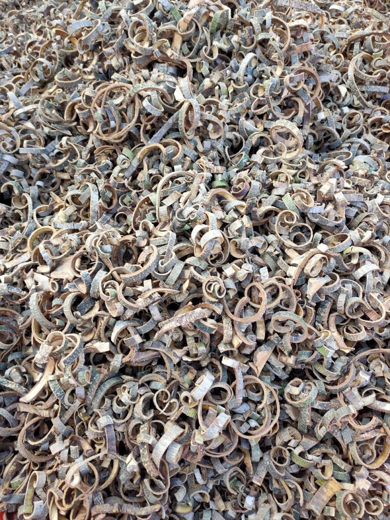 湖北地产海桐皮0.8干片自家加工价格便宜欢迎来电
