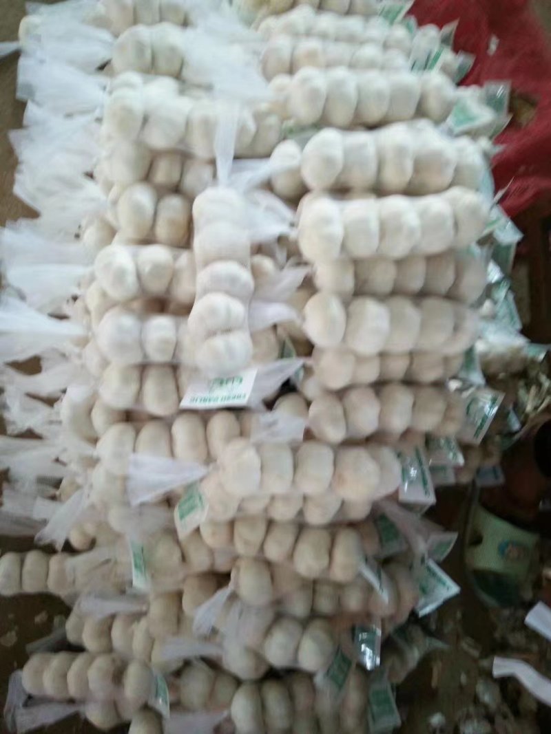 山东紫皮大蒜包装出口标准