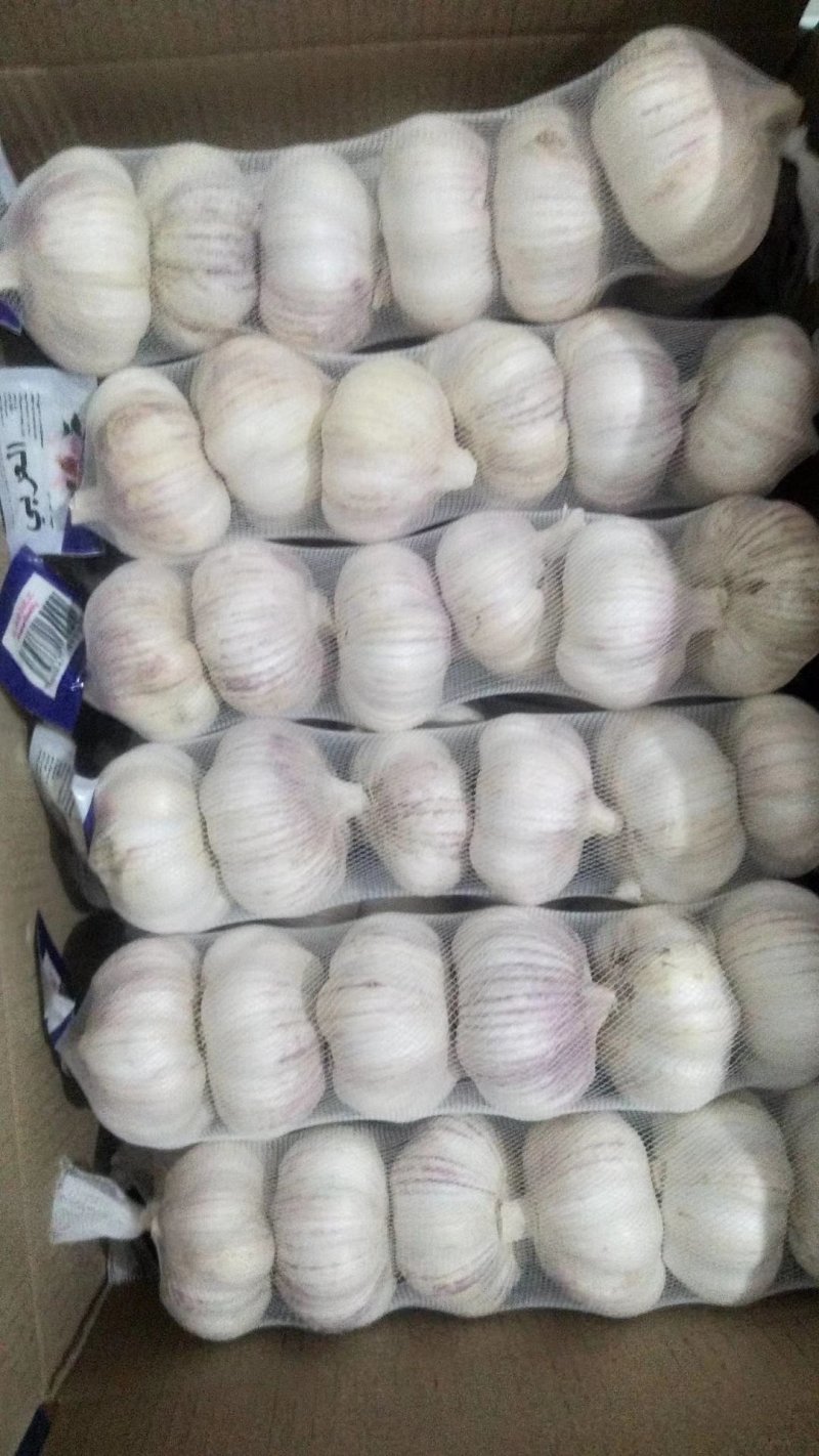 山东紫皮大蒜包装出口标准