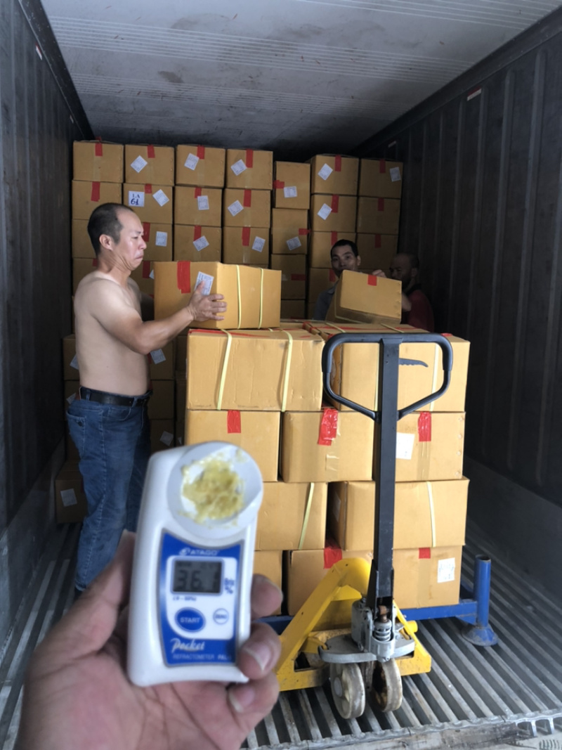 一公斤装带核工厂价量大合谈