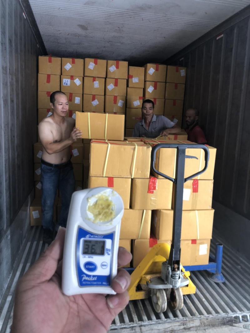 一公斤装带核工厂价量大合谈