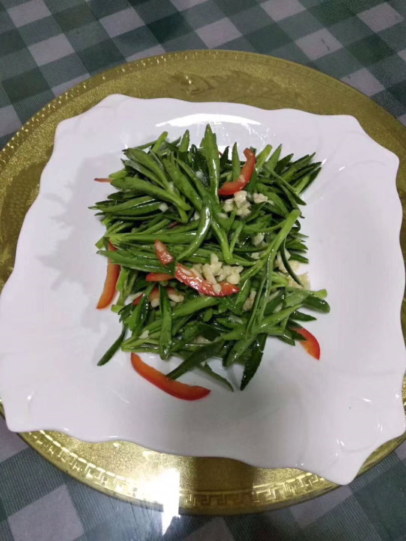 高钙菜养心菜种苗盆栽，可食用可观赏，随时吃随时摘。