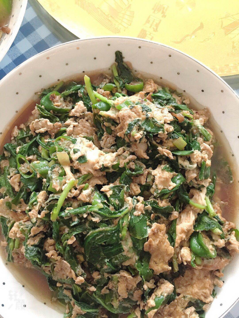 高钙菜养心菜种苗盆栽，可食用可观赏，随时吃随时摘。