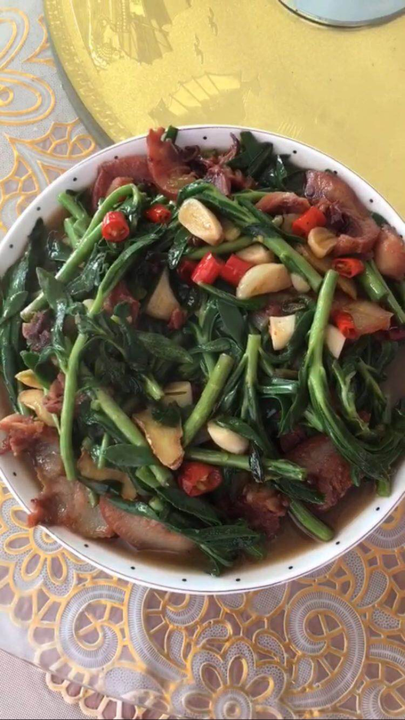 高钙菜养心菜种苗盆栽，可食用可观赏，随时吃随时摘。