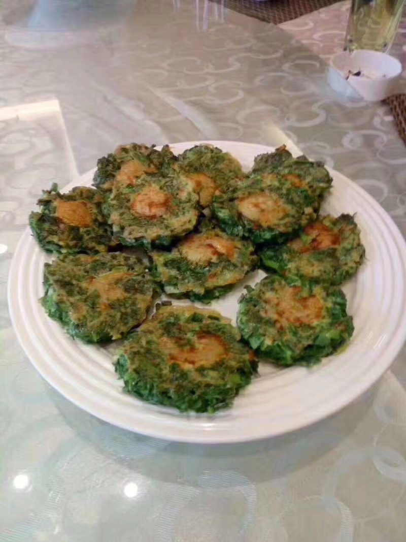 高钙菜养心菜种苗盆栽，可食用可观赏，随时吃随时摘。