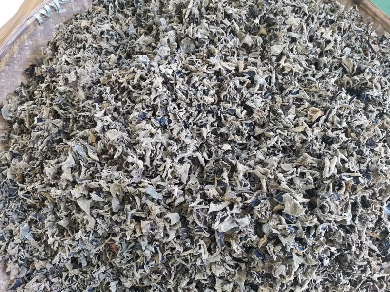 秦岭椴木木耳一级朵朵精选营养滋补农户自产自销杂可一件代发