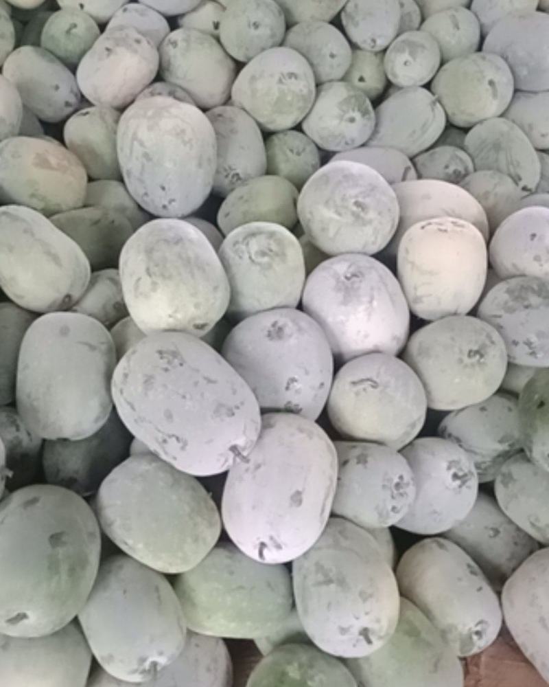 水果冬瓜刚刚上市，皮毛好，大小均匀，有需要的老板联系我