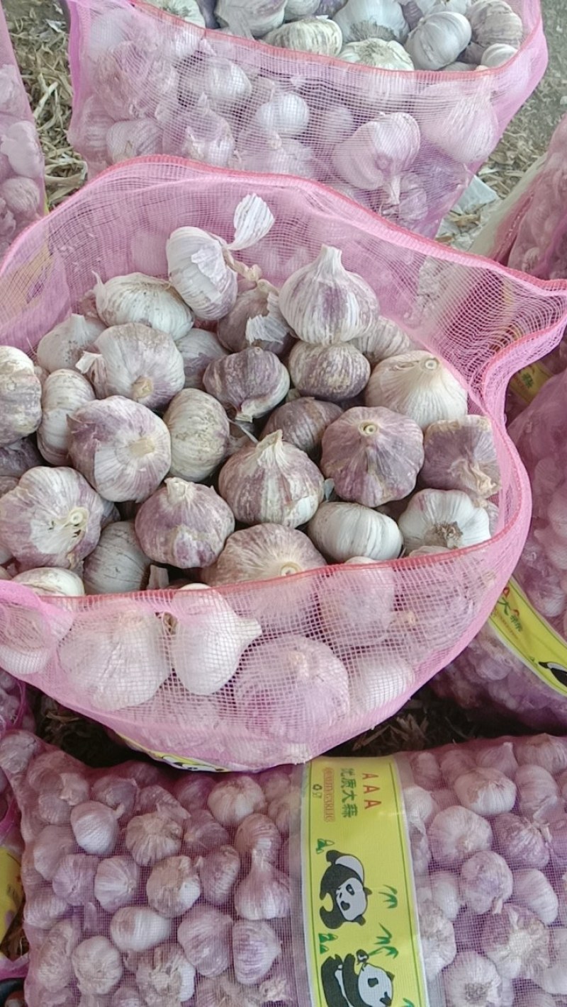 大蒜，毛头，蒜把，净头蒜