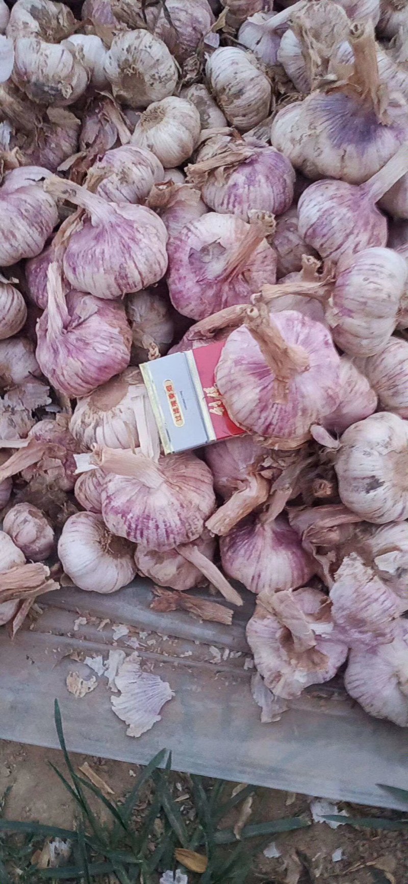 大蒜，毛头，蒜把，净头蒜