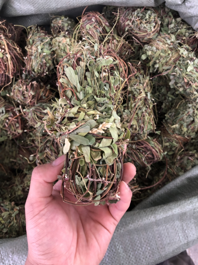 中药材鸡骨草广西本地扎小把新货鸡骨草带叶子