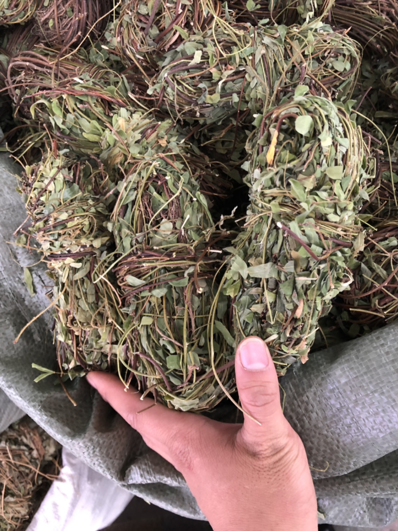 中药材鸡骨草广西本地扎小把新货鸡骨草带叶子