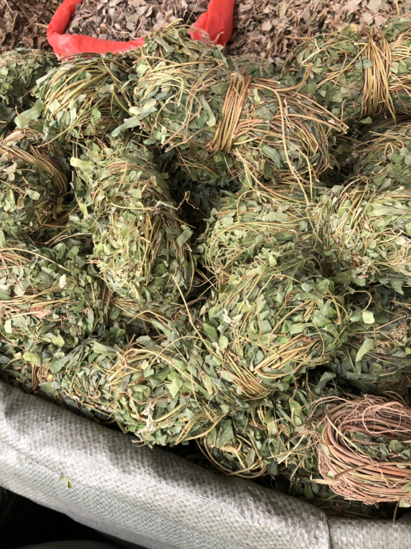 中药材鸡骨草广西本地扎小把新货鸡骨草带叶子