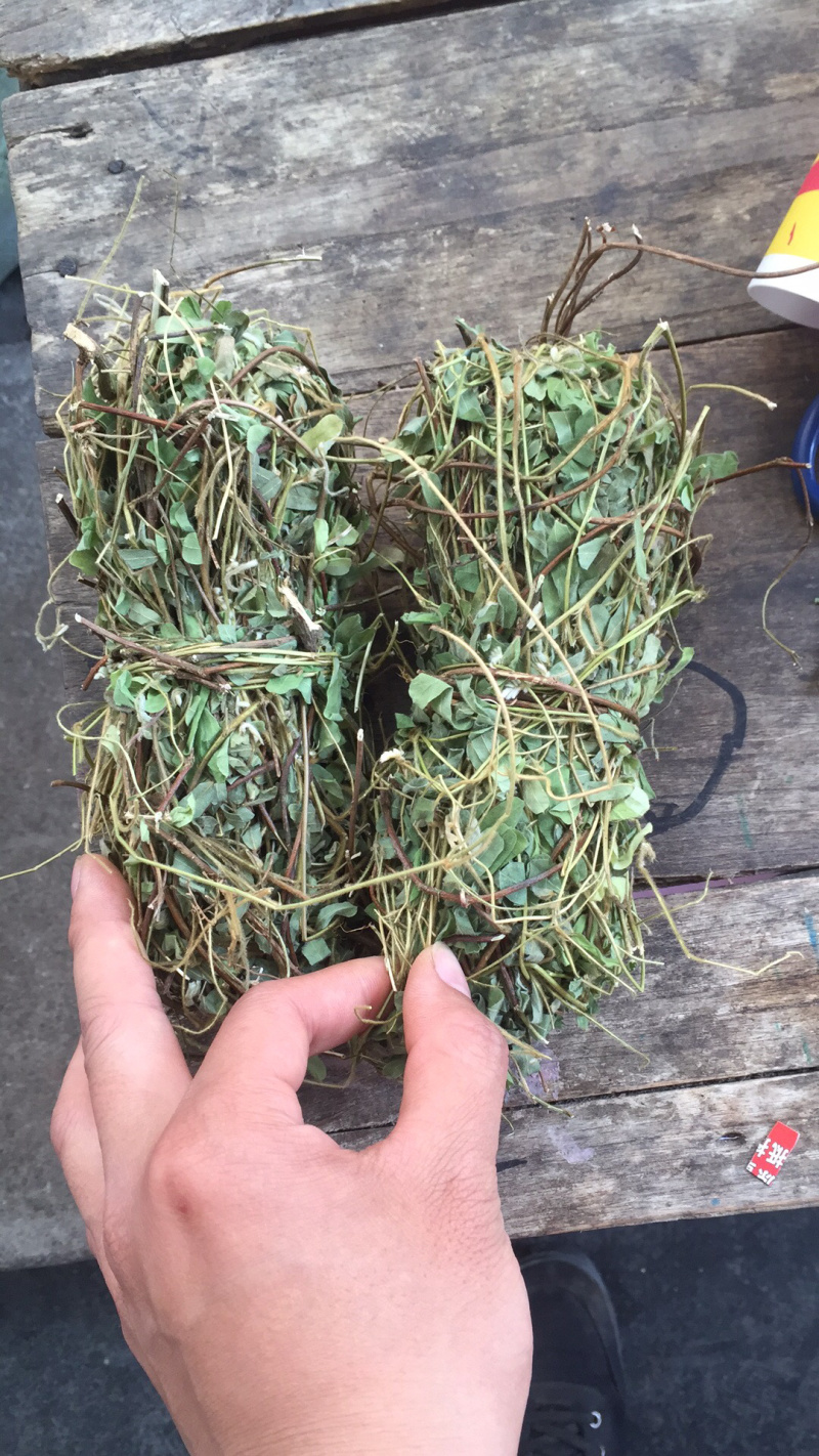 中药材鸡骨草广西本地扎小把新货鸡骨草带叶子