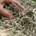 头采白毫银针新茶福鼎白茶500g包邮