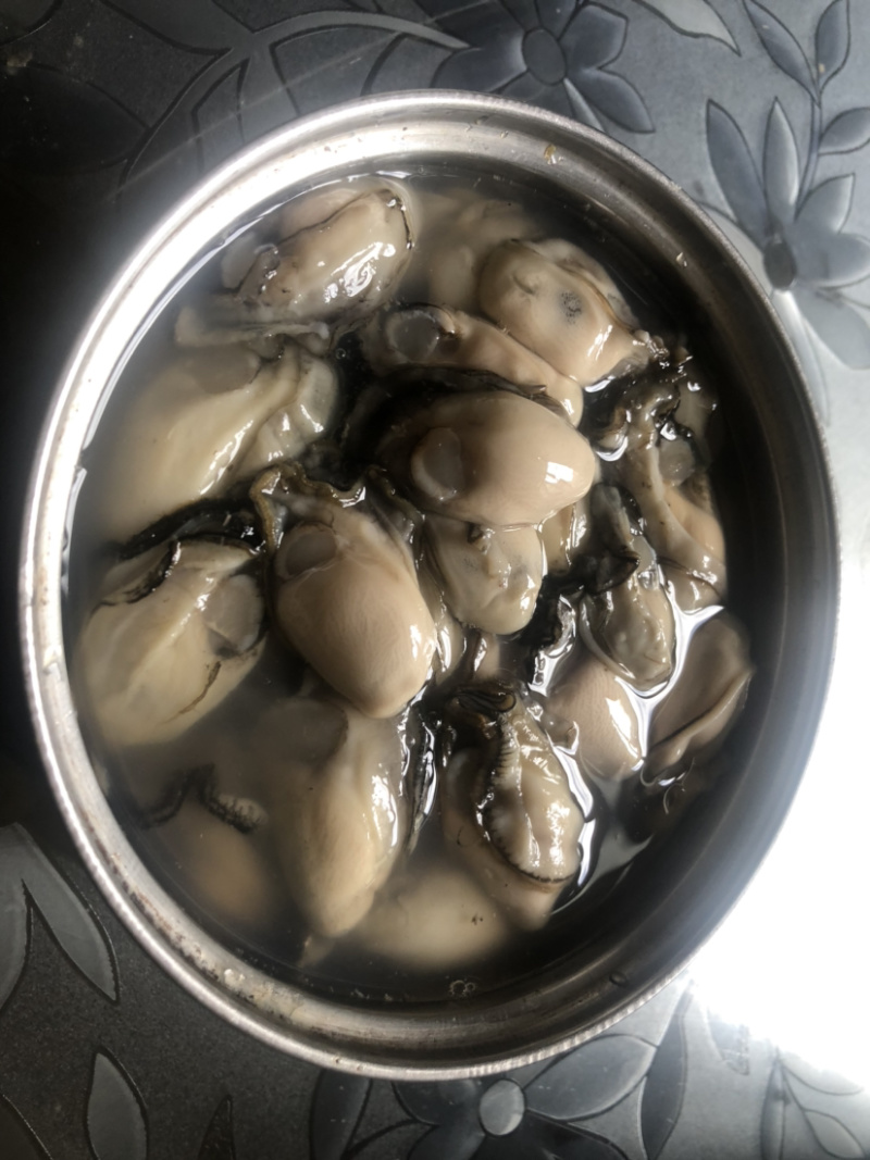 超肥美生蚝深海生蚝鲜活10斤刺身中蚝广东海鲜水产