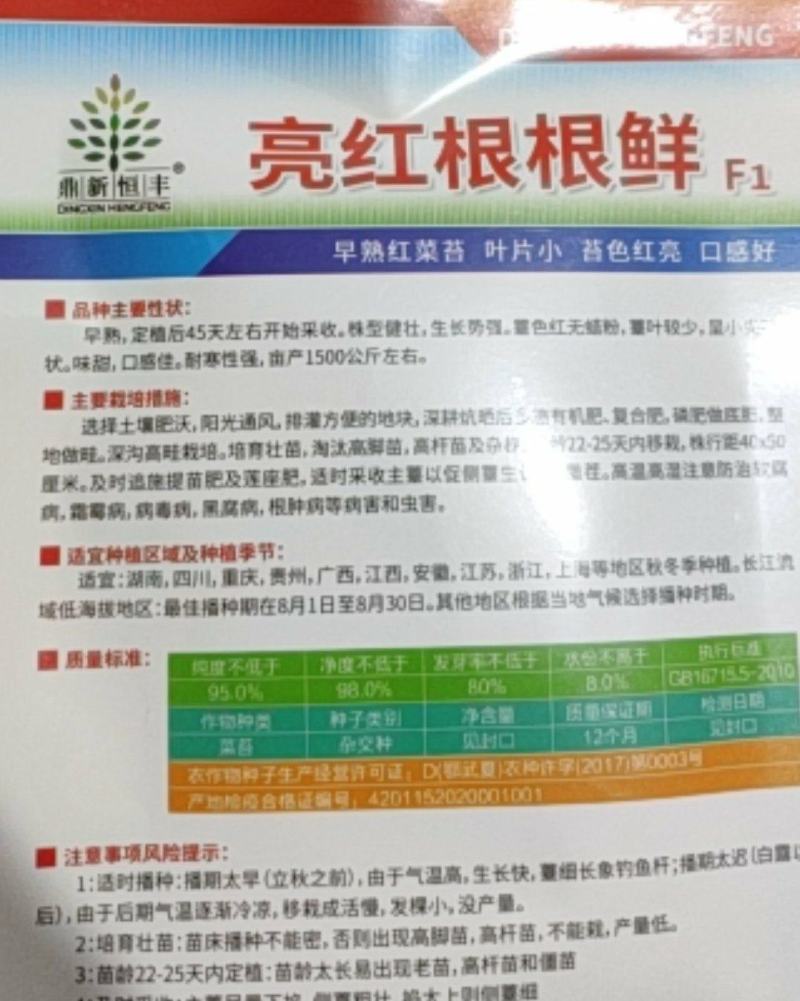 红菜苔种子亮红根根鲜（早熟小叶型）