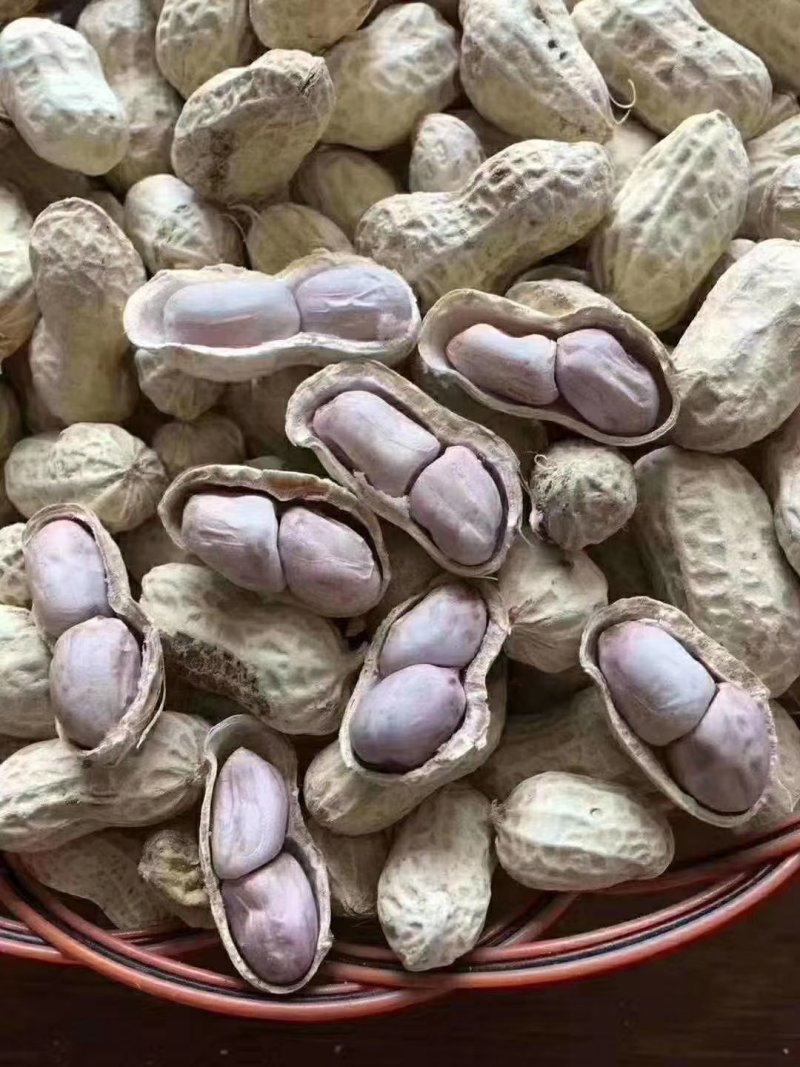 新季农家水煮咸干花生