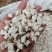 粉葛根无硫无添加一公斤起批实物拍摄不包邮
