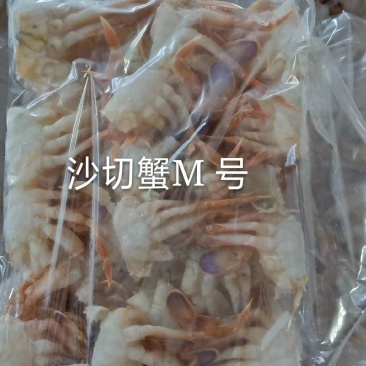 火爆沙蟹切蟹量大从优，，欢迎老板们订购