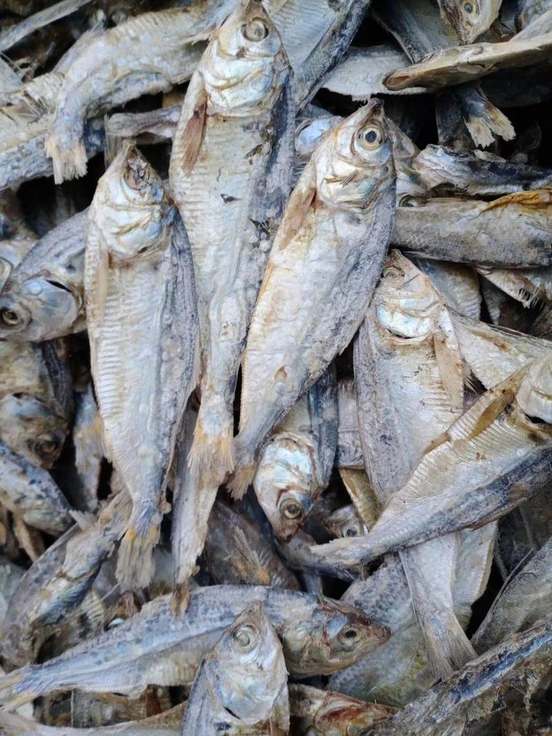 鱼干优质小鱼干杂鱼鱼粉厂家直销常年供货质优价廉