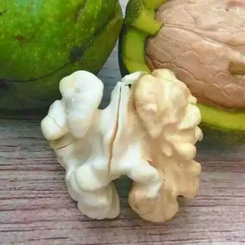 青皮核桃价格青皮核桃产地青皮核桃基地