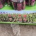 云南手工黑糖，红糖大货供应，6种口味多重选着