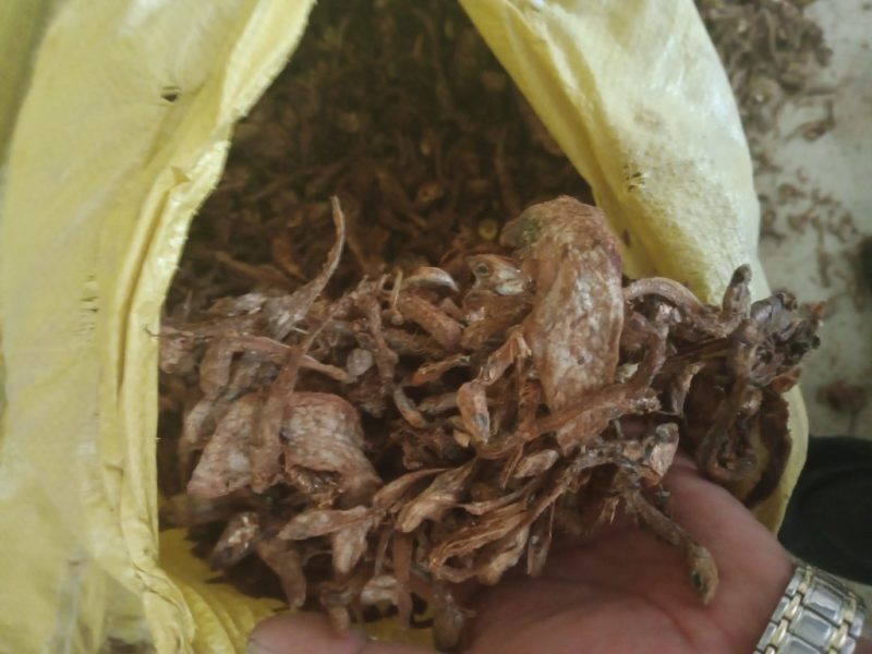 鱼干鱼粉厂家直销常年供货质优价廉