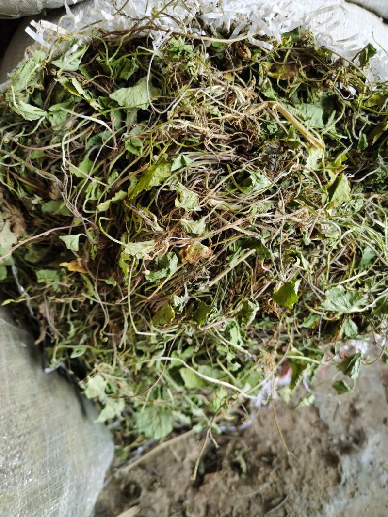 积雪草，雷公根，新货颜色漂亮，量大优惠