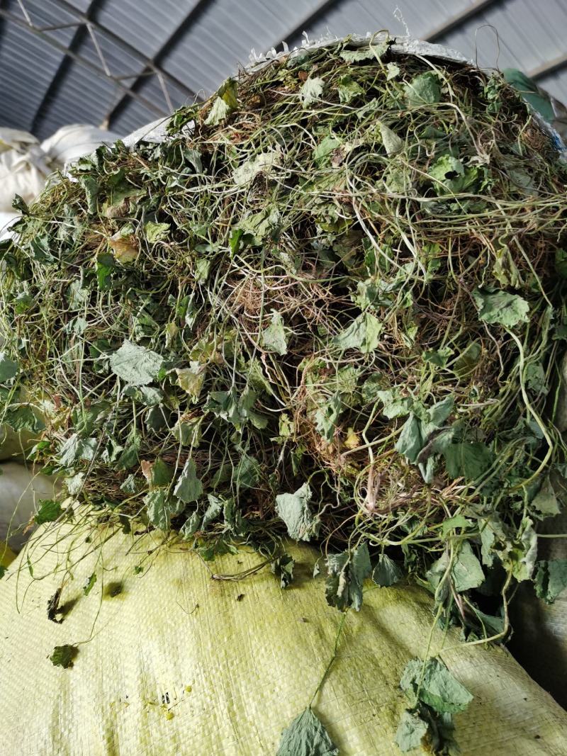 积雪草，雷公根，新货颜色漂亮，量大优惠