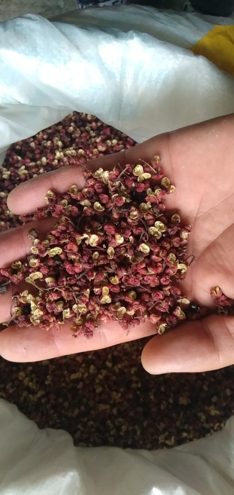 武都花椒味道好质量好