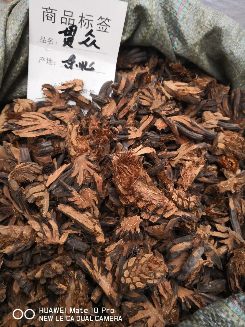 绵马贯众东北干货无硫熏天然晒干量大从优