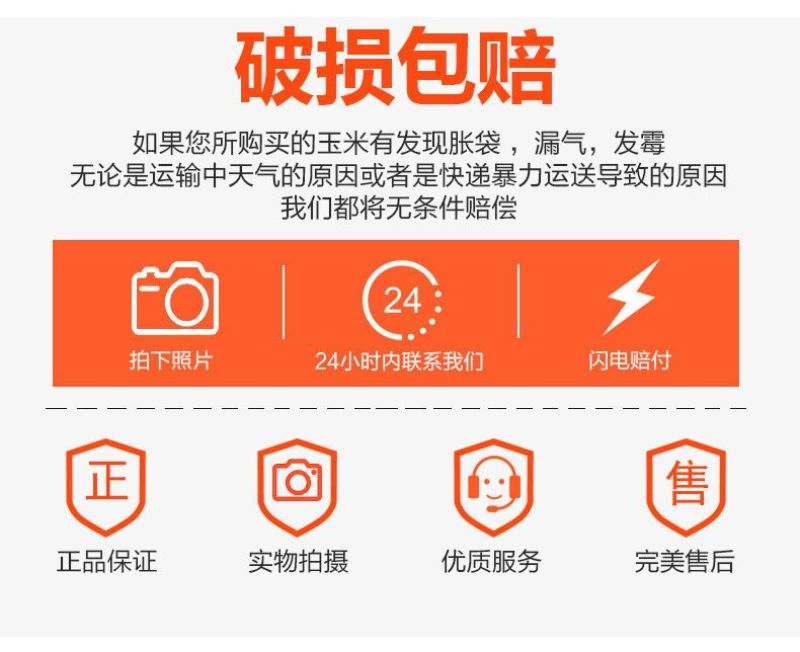 黑玉米2024真空甜糯山西厂家一件代发批发社群团购档口