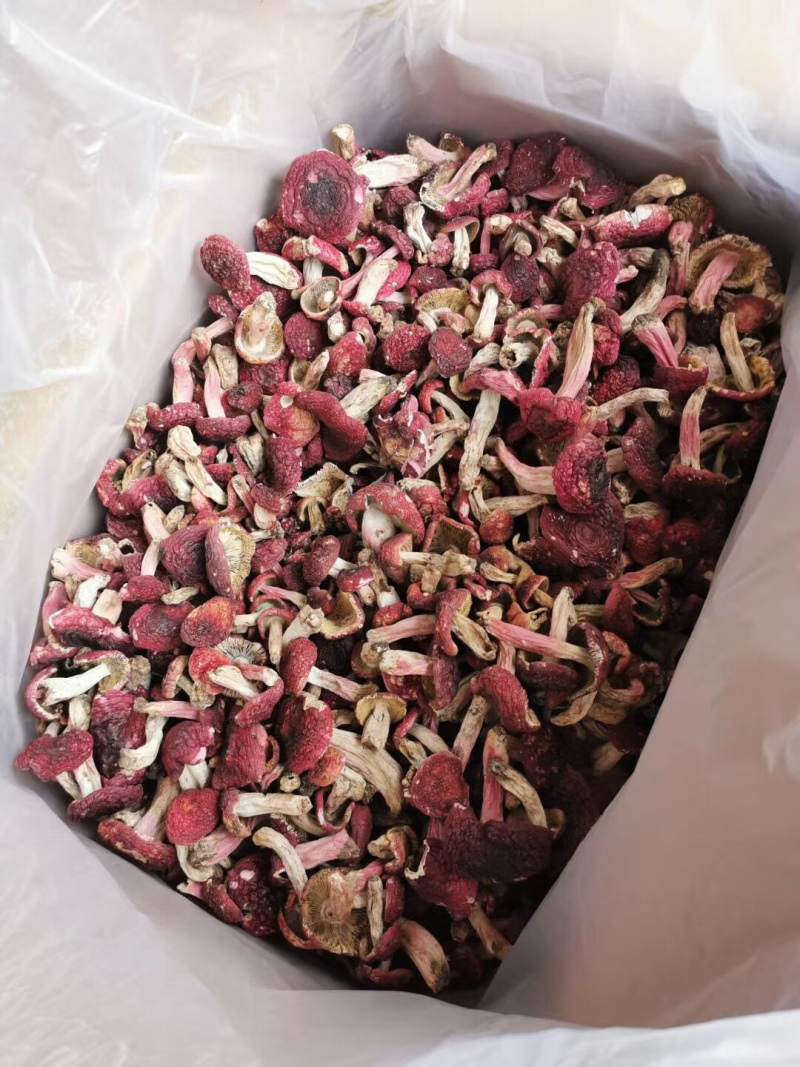食用菌干货、肉肥菌厚的干品大红菇！