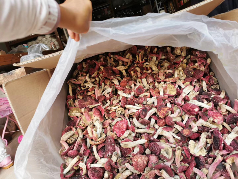 食用菌干货、肉肥菌厚的干品大红菇！