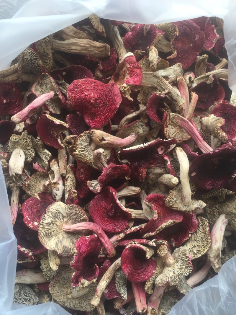 食用菌干货、肉肥菌厚的干品大红菇！