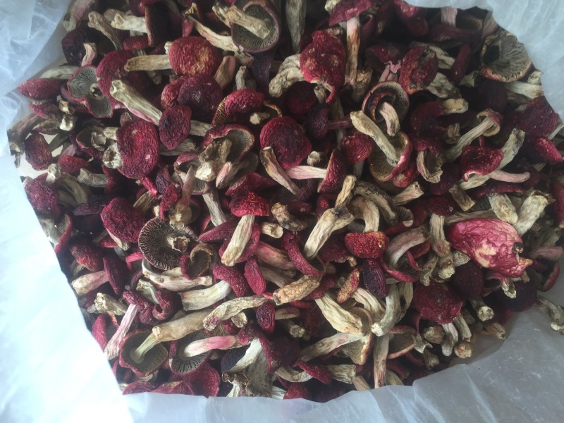 食用菌干货、肉肥菌厚的干品大红菇！
