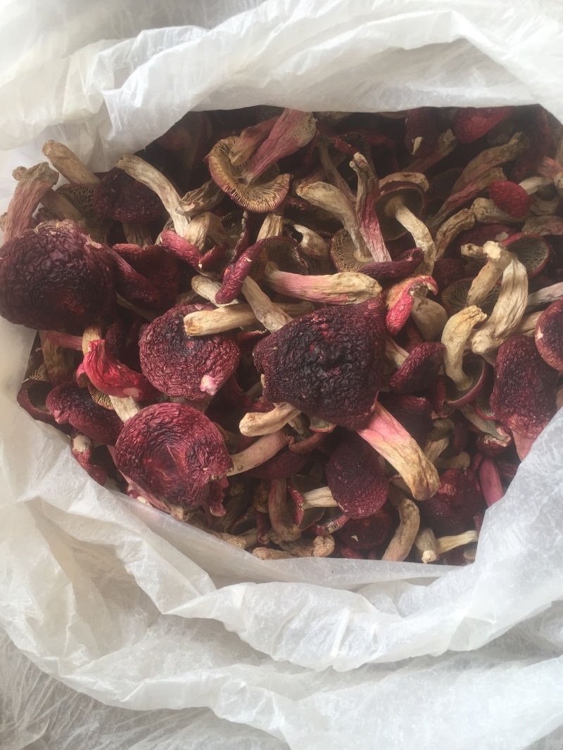 食用菌干货、肉肥菌厚的干品大红菇！