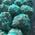 无沙生蚝，各种规格，肥度饱满，码头批发不零售