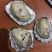 渤海湾生蚝无沙，各种规格，可供电商或超市