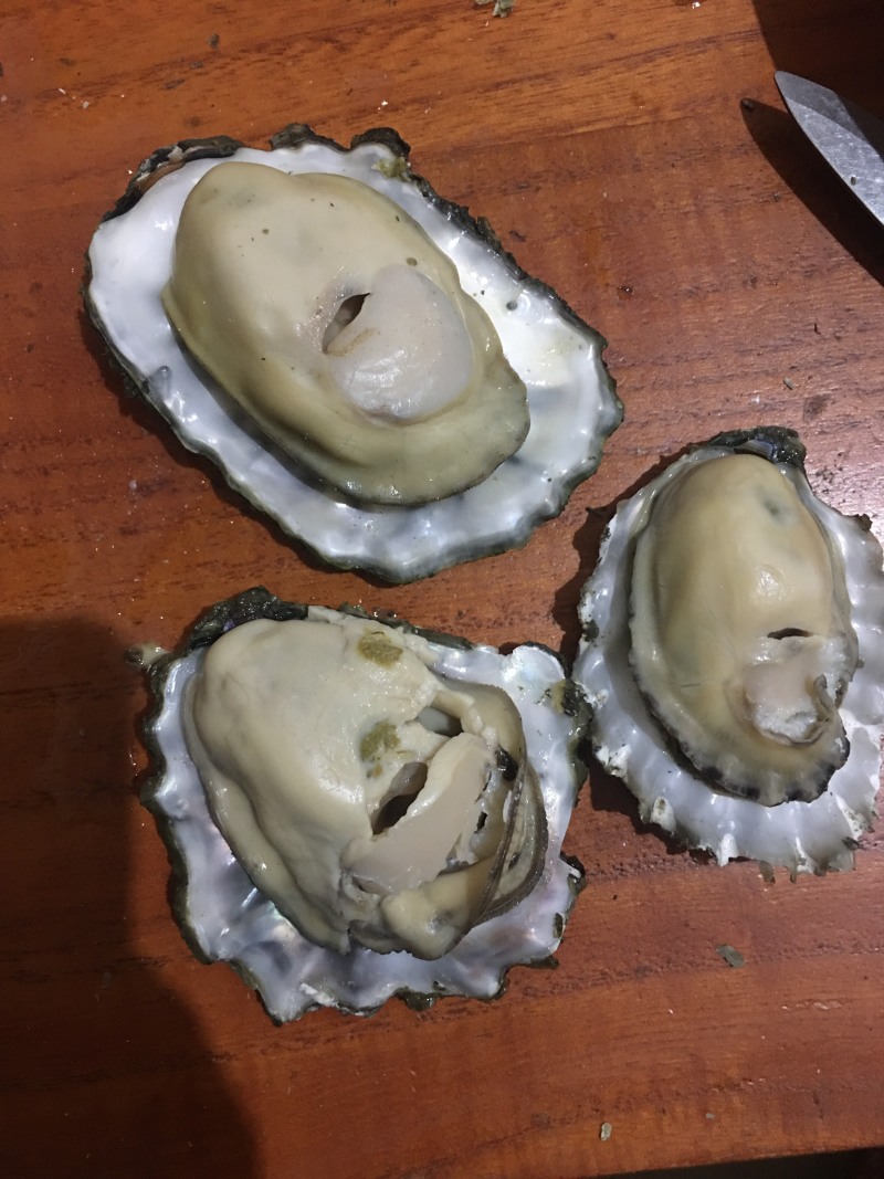 渤海湾生蚝无沙，各种规格，可供电商或超市