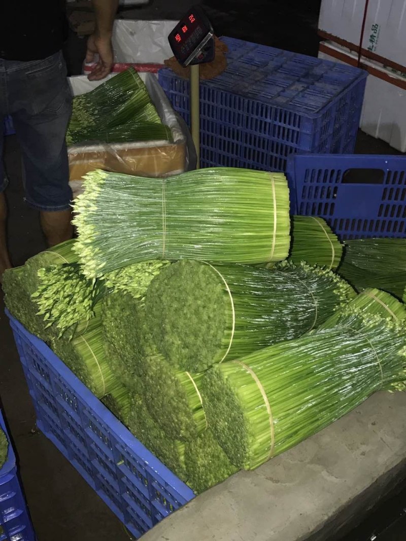 韭菜花25一35厘米