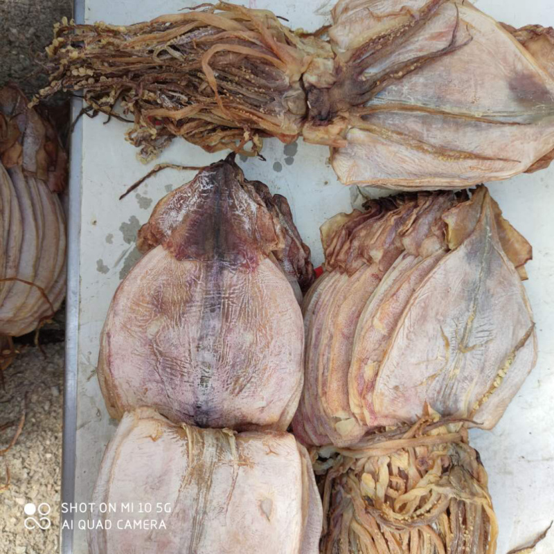 鱿鱼干，朝鲜鱿鱼干，质量好