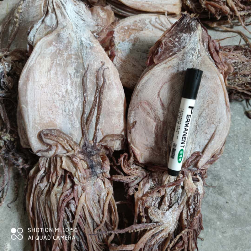 鱿鱼干，朝鲜鱿鱼干，质量好