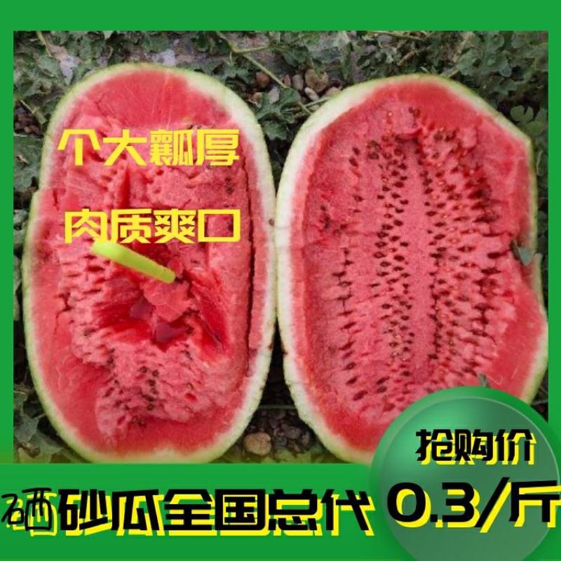 【推荐】宁夏西瓜优选石缝瓜皮薄沙甜现摘现卖欢迎选购