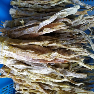 小笋干中笋，大片，弯尖八九成干。厂家产地直销。附近送货