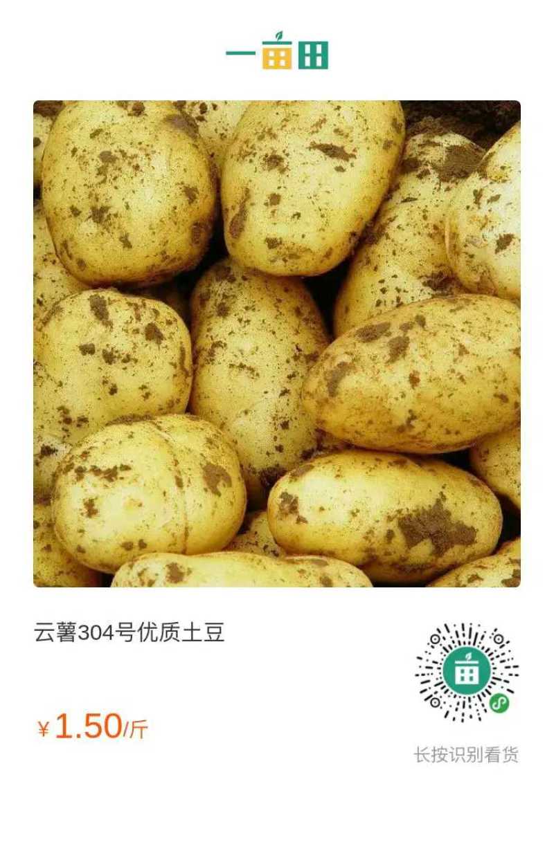 云南高原特色优质黄心土豆系列产品已上市热卖中