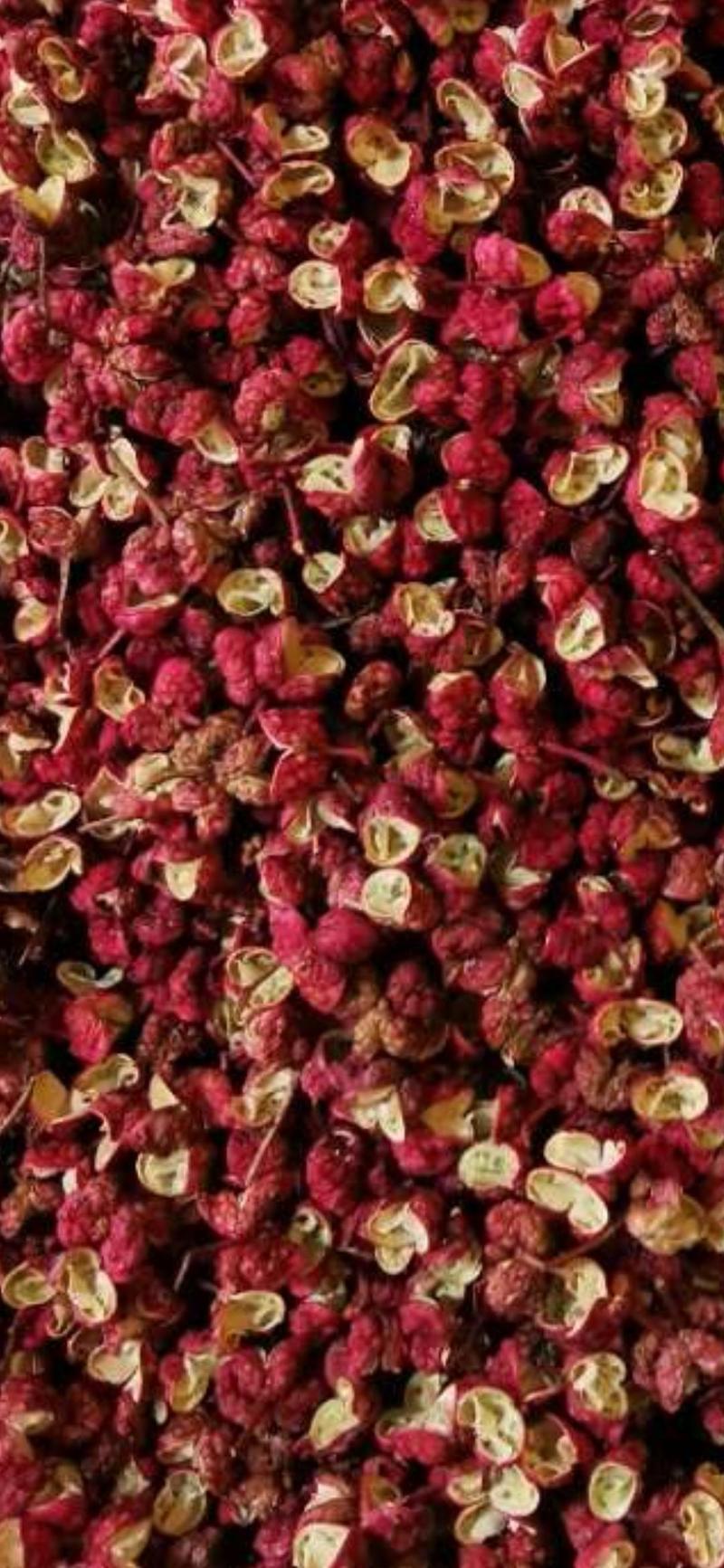 甘肃红麻椒茂文原产地选材一手货源全国发货常年供应