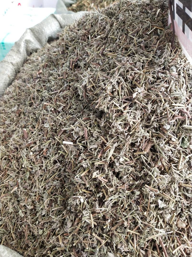 香薷草一斤起售，量大优惠